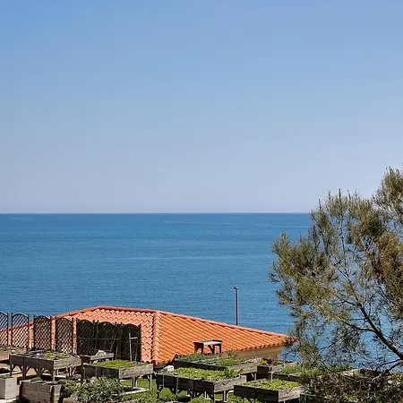 Les Pins Du Cap - Vue - Cap D'antibes וילה *