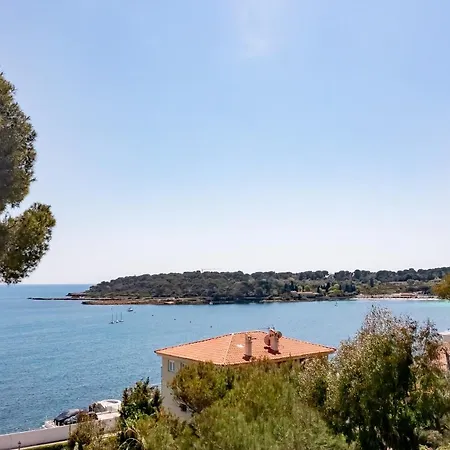 Les Pins Du Cap - Vue - Cap D'antibes